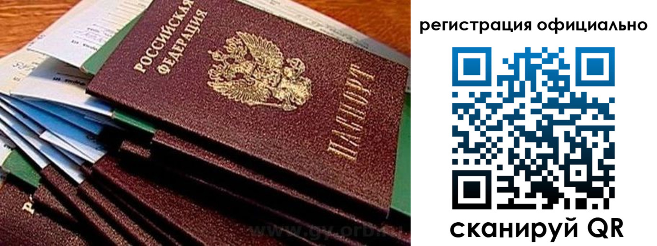 прописка регистрация в Палласовке